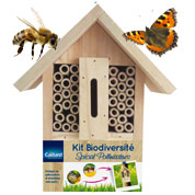 Bio diversities kit, specific pollinating insects